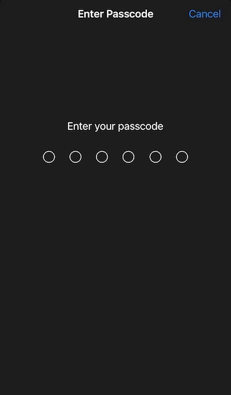 ✍️Step 5: Enter the correct passcode.