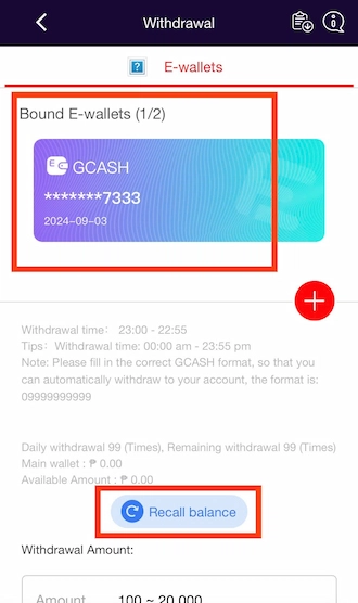 ✍️Step 3: Select an e-wallet & click on Recall Balance.
